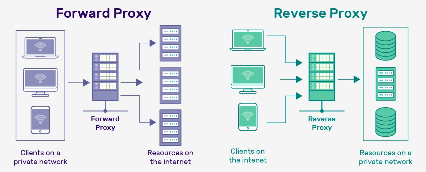 Image proxy